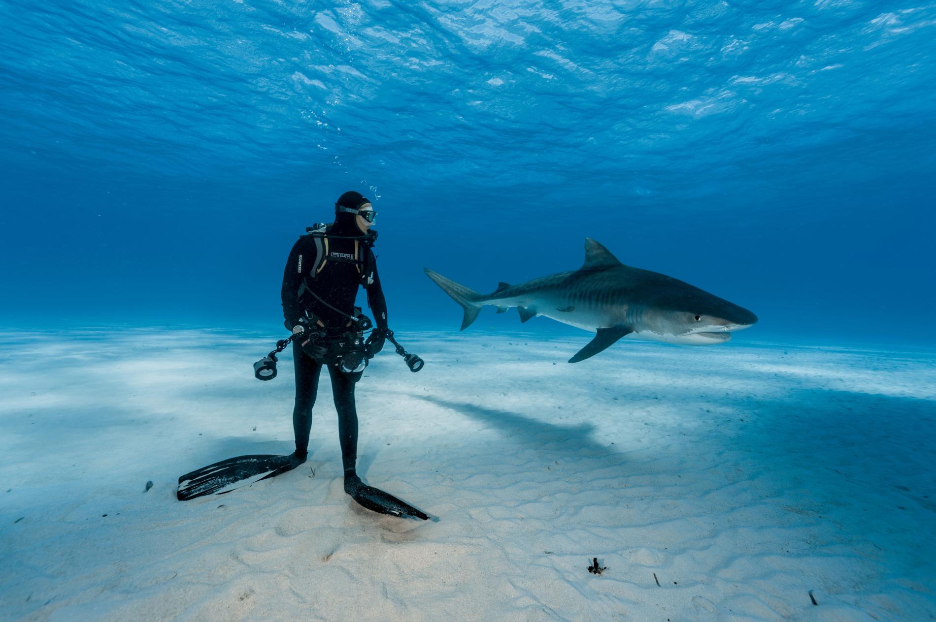 PHOTOGRAPH BY BRIAN SKERRY